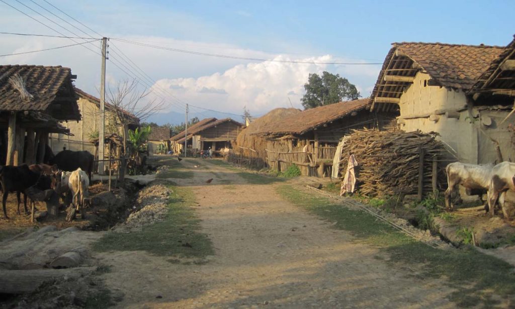 bhada GAU KAILALI.jpg